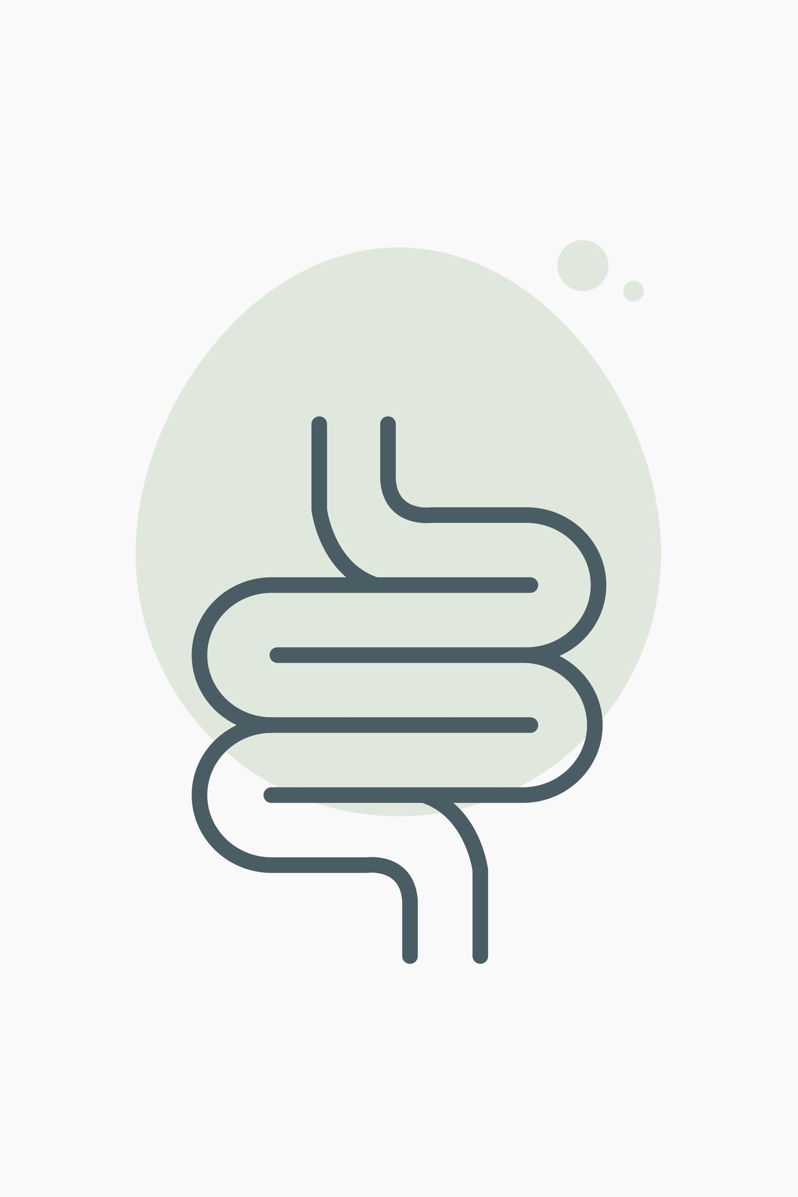 Gut Health - Be So Well