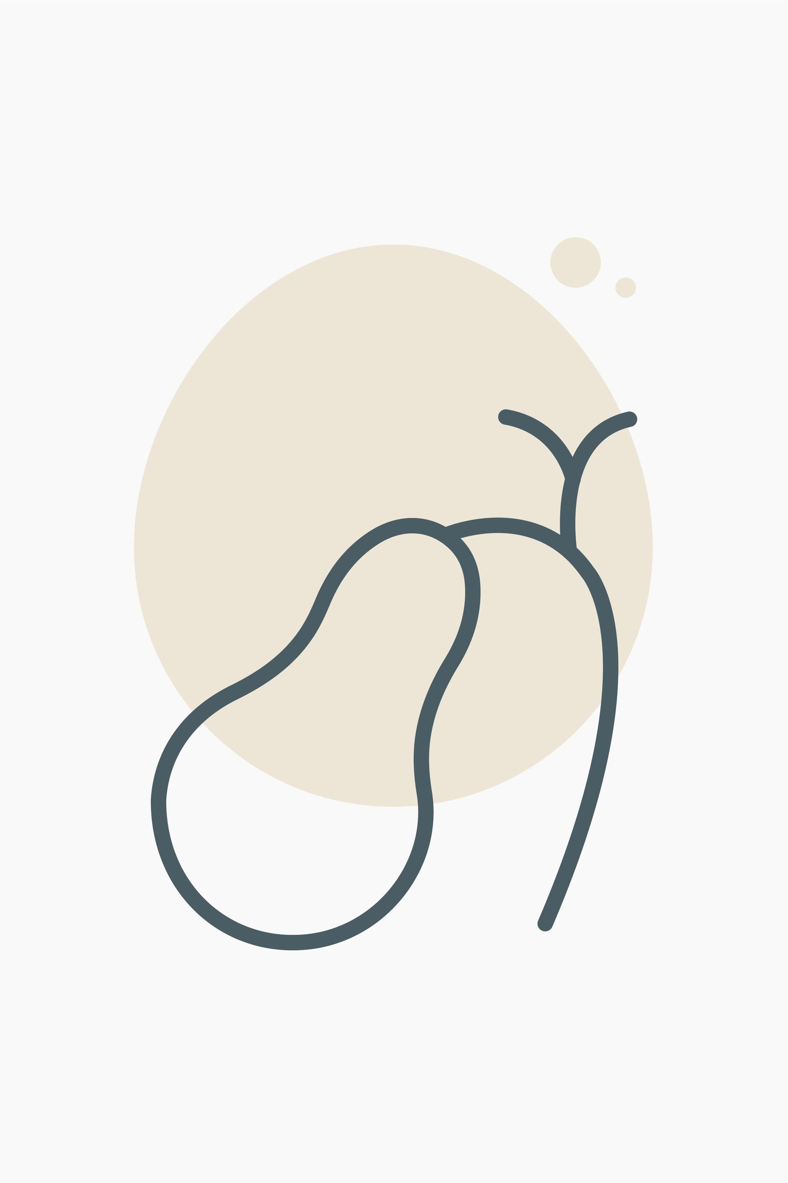 Gallbladder - Be So Well