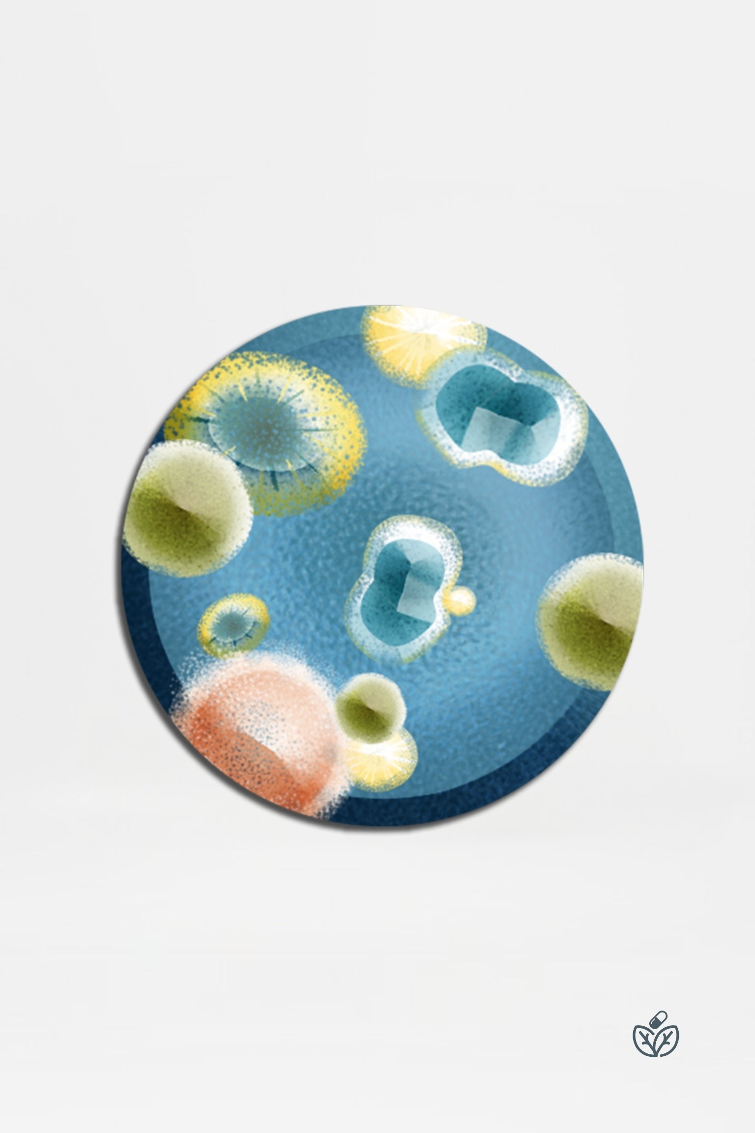 Candida + IBS Profile