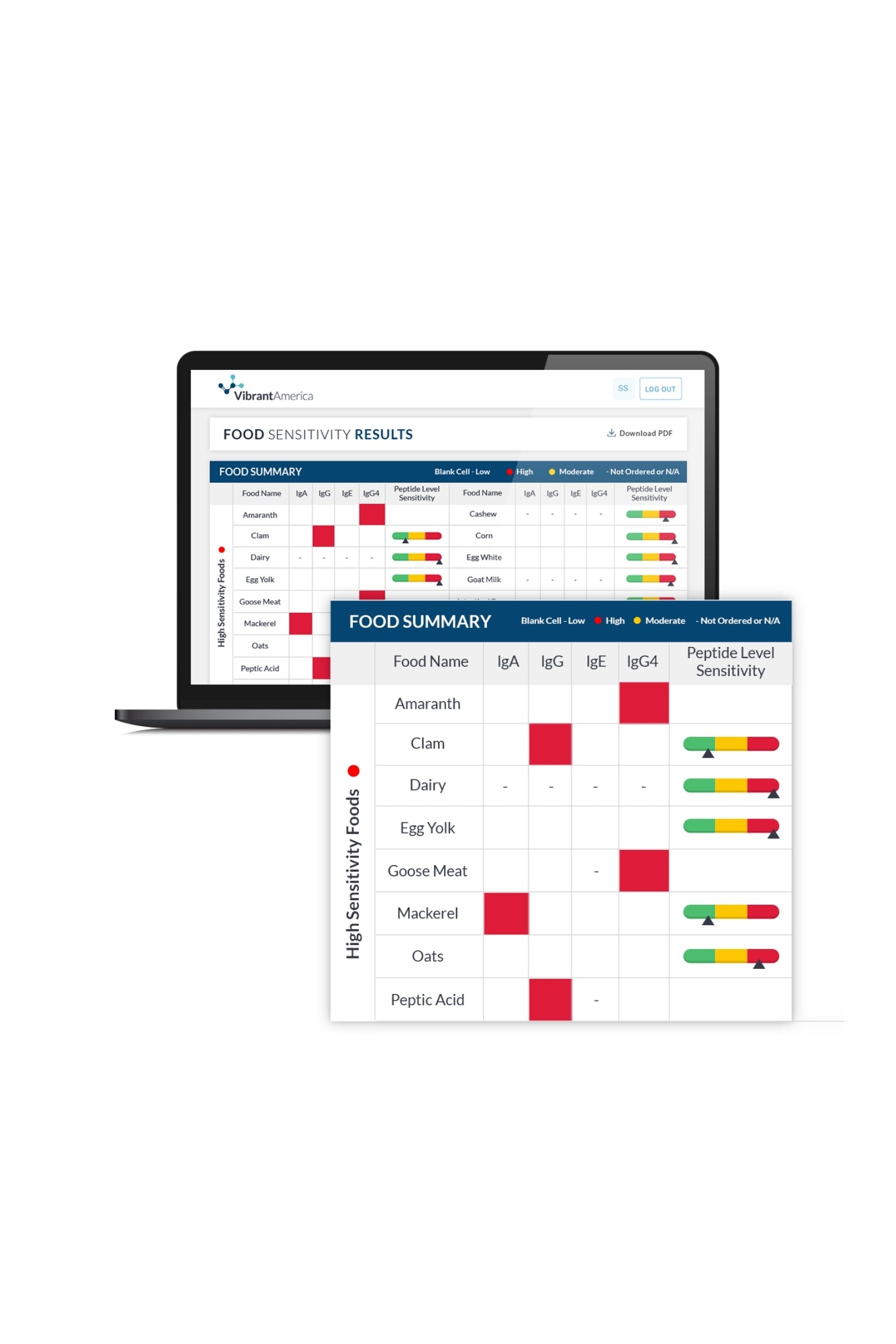 Food Sensitivity: Complete Food Profile (includes Vegetarian, Meat, Seafood and Additives.) - IgA and IgG