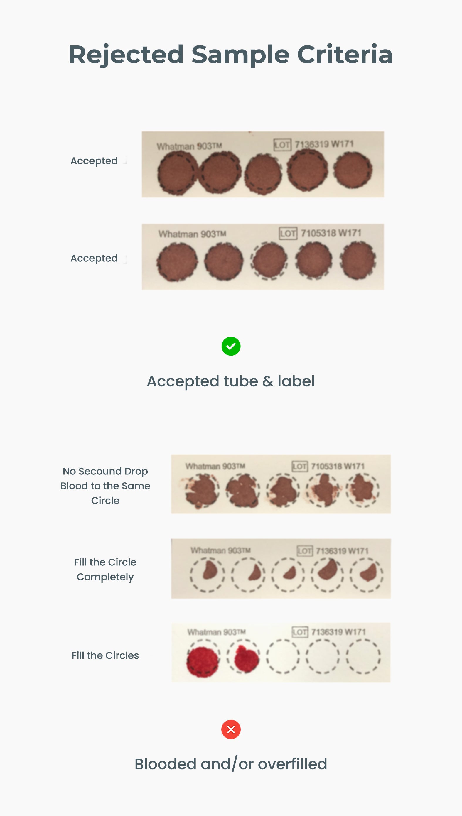 Food Sensitivity: Food Additives - Anti-C3d and IgG4