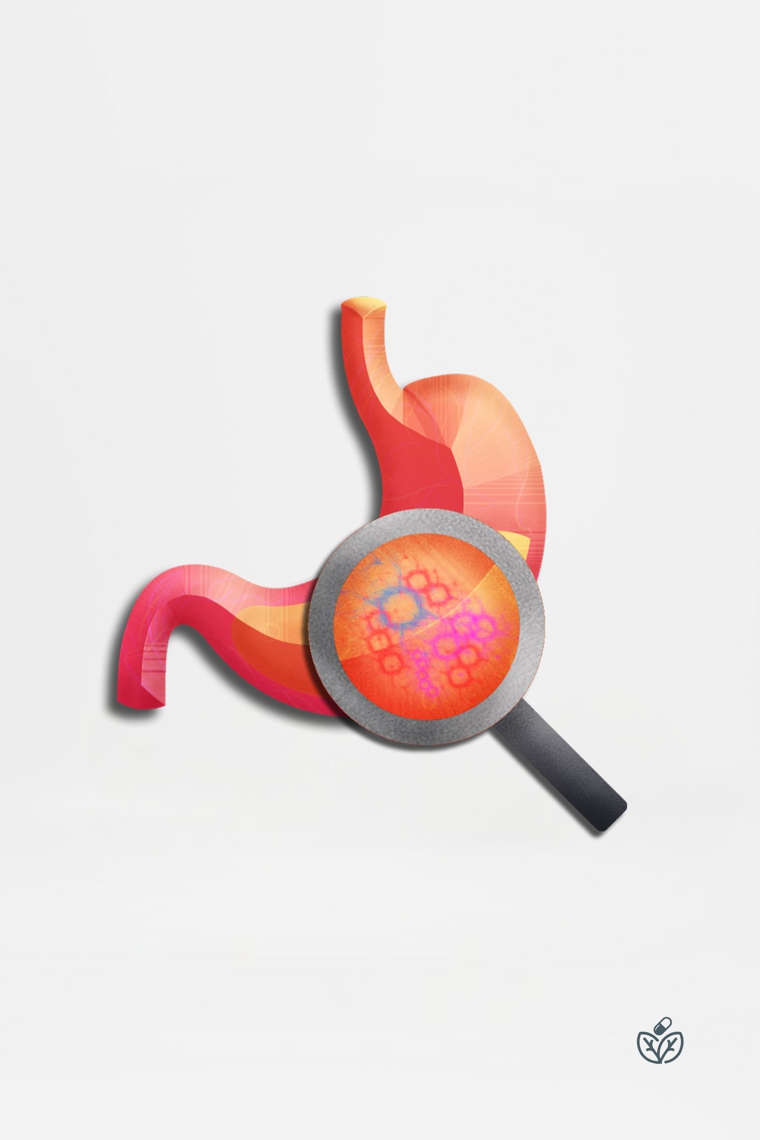 Gut Zoomer 3.0