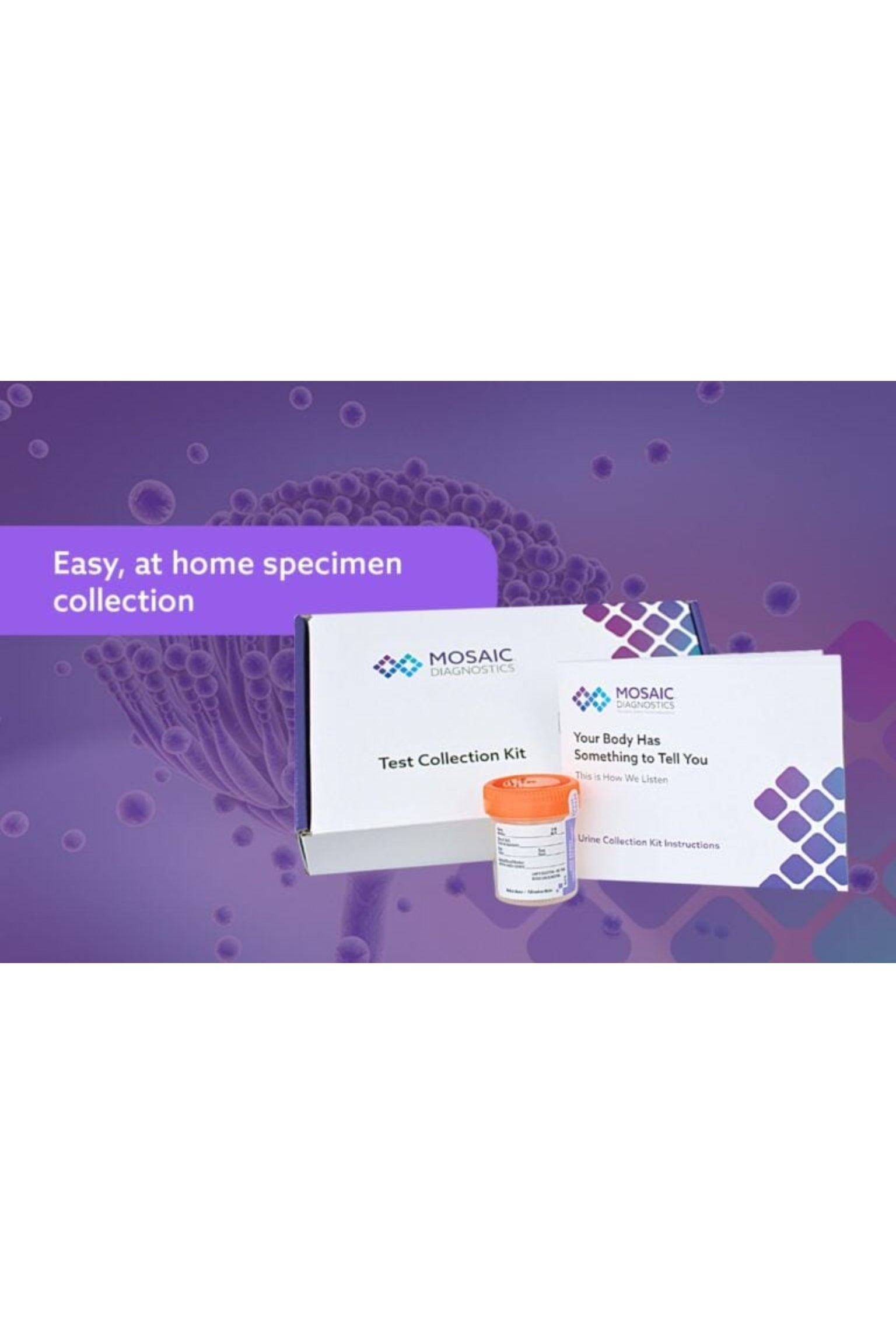 Mold Mycotoxin (11 common mycotoxins)