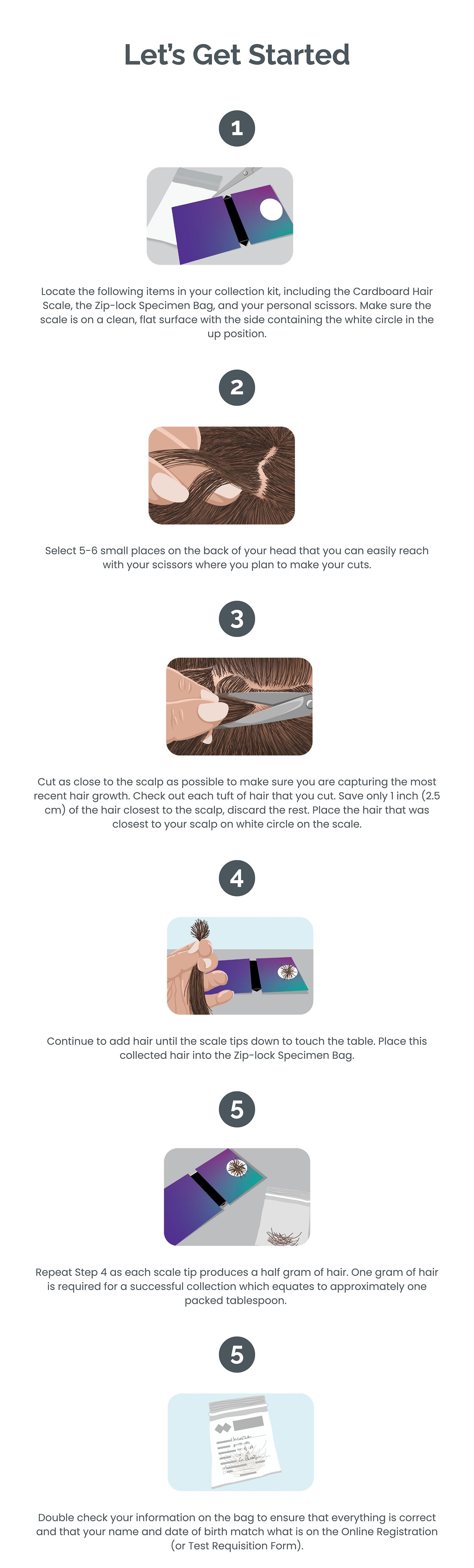 Heavy Metals Hair Test