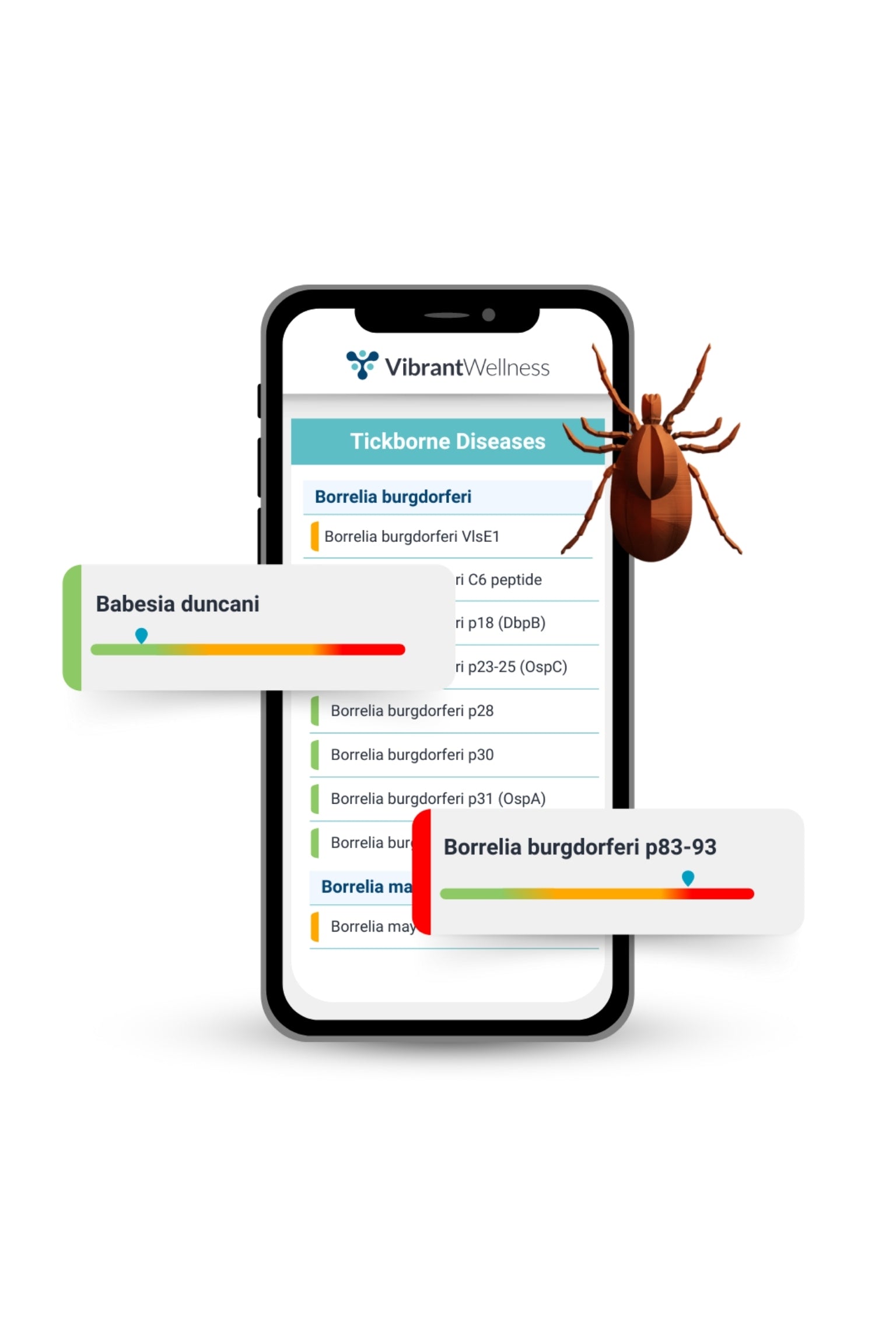 Tickborne 2.0