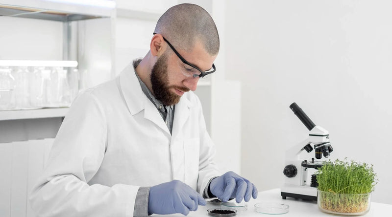 Mycotoxin Testing: Symptoms, Causes & Best Lab Tests