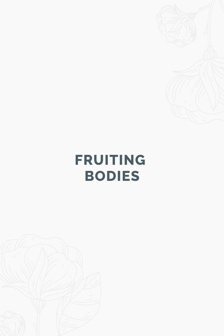 Fruiting Bodies