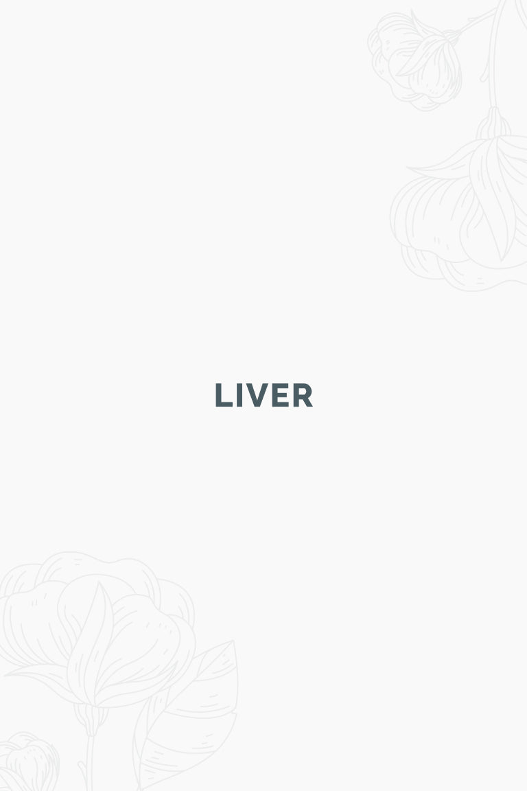 Liver