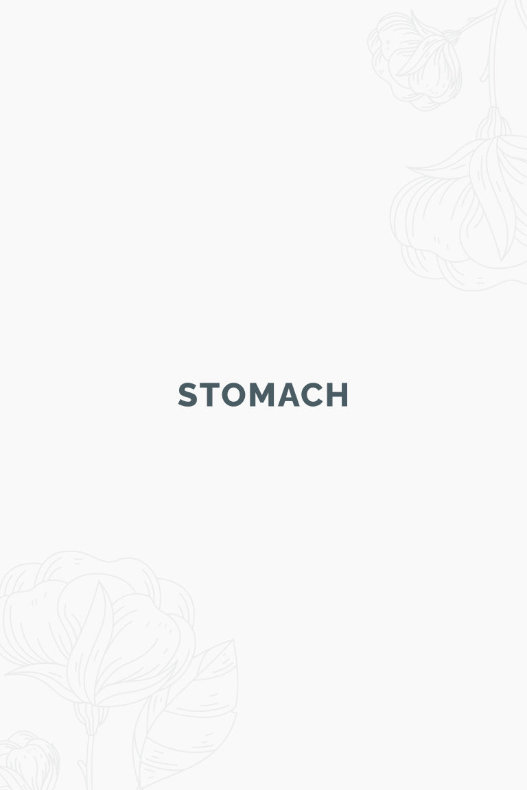 Stomach