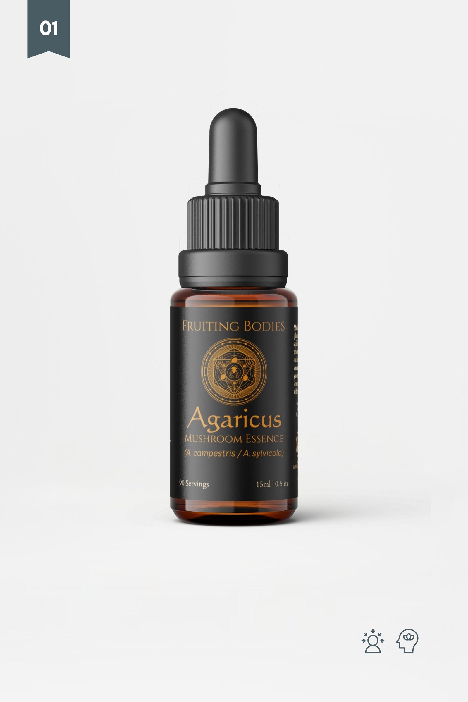 Fruiting Bodies - Agaricus Mushroom Essence