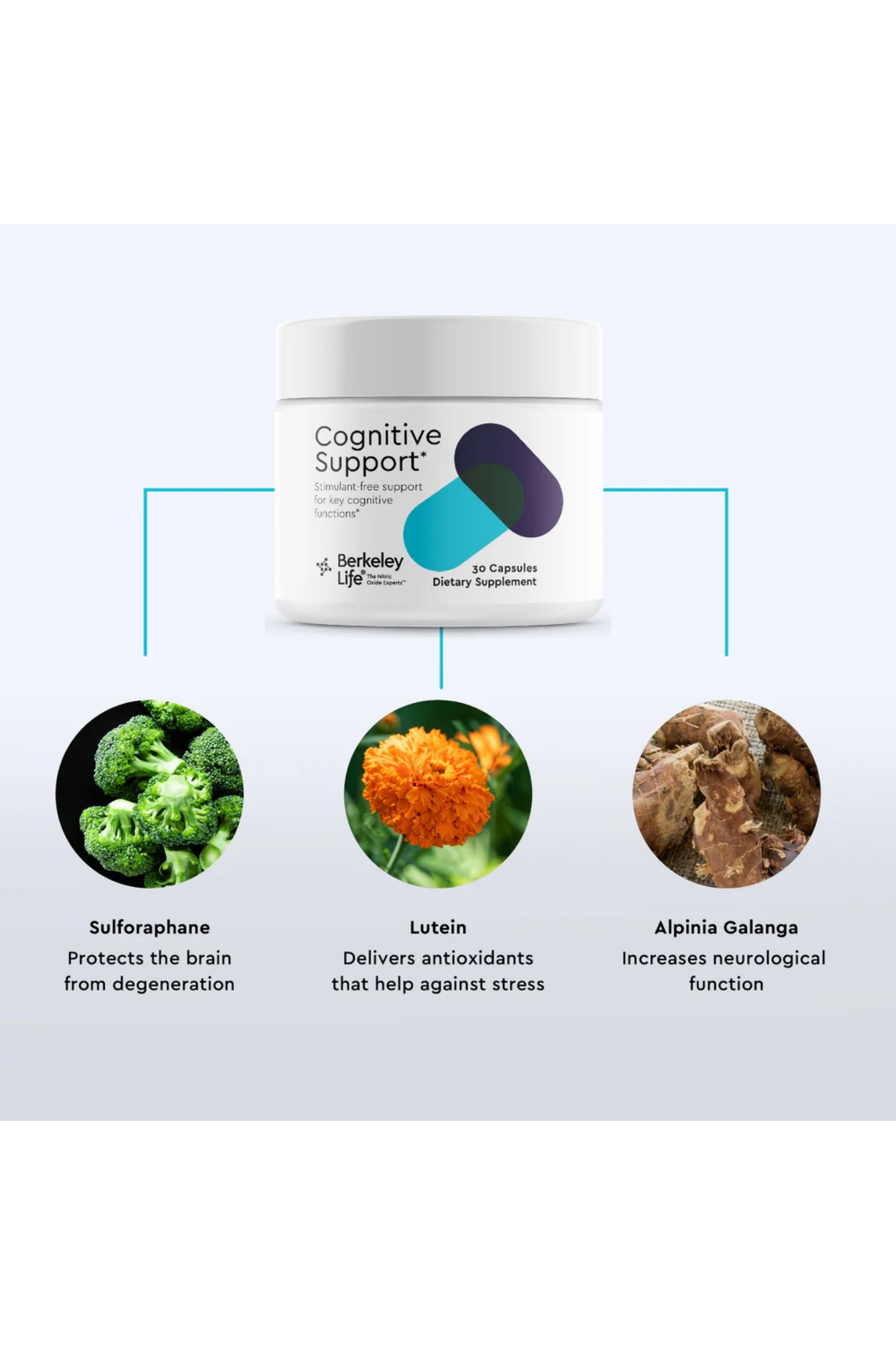 Berkeley Life Cognitive Support