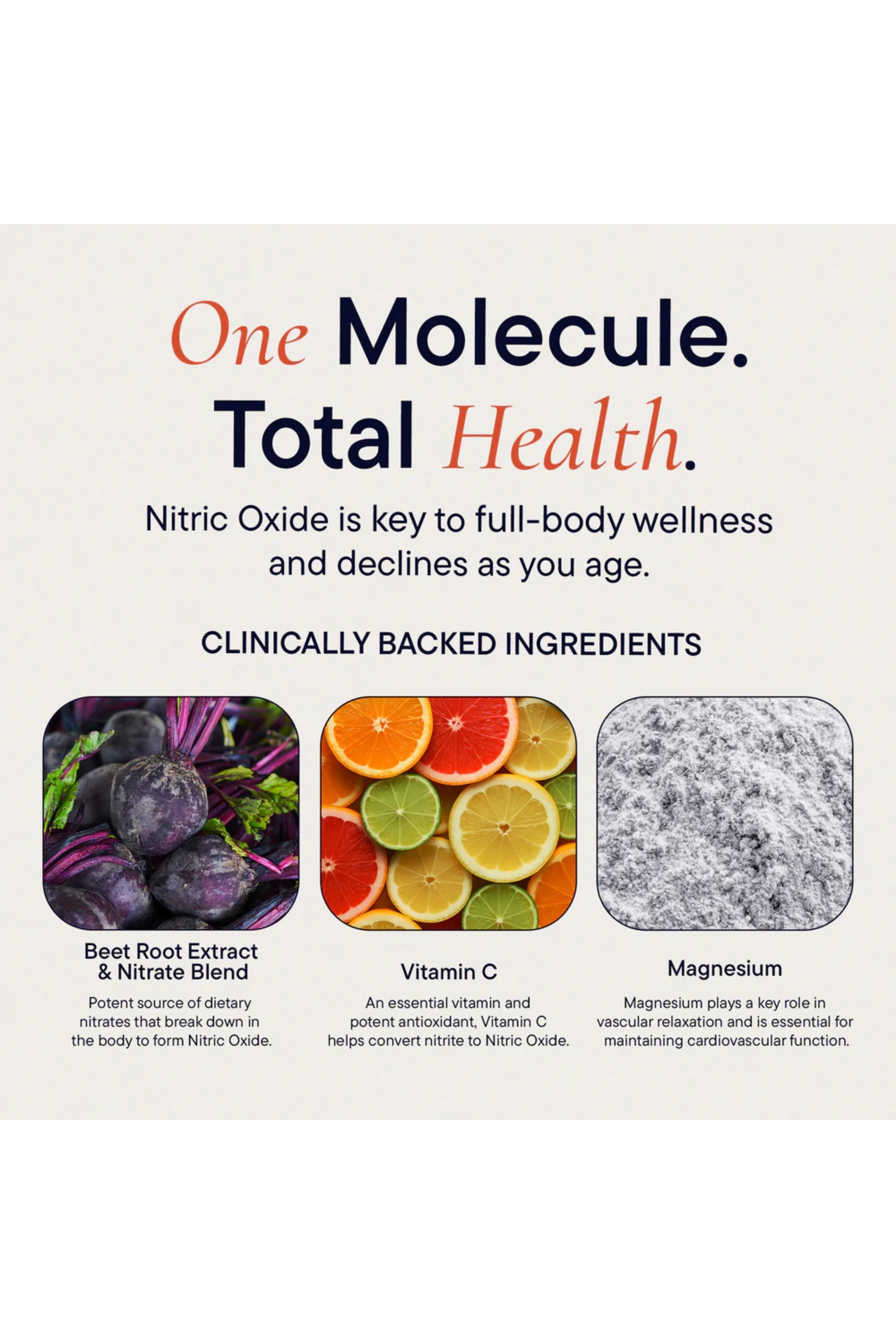 Nitric Oxide Daily Foundation Kit