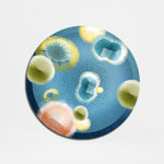 Candida + IBS Profile