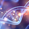 DNA Methylation Pathway Profile