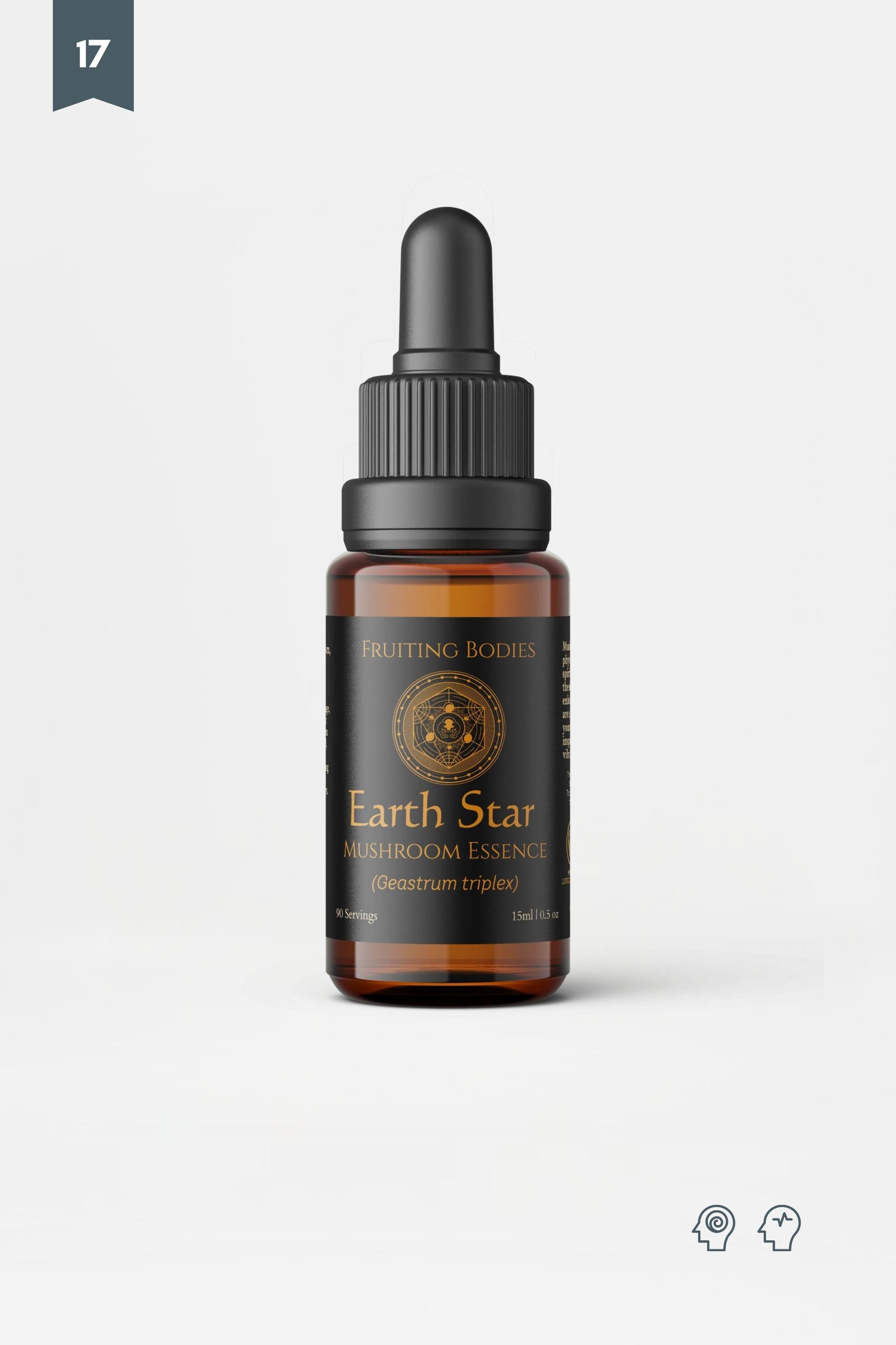 Fruiting Bodies - Earth Star Mushroom Essence