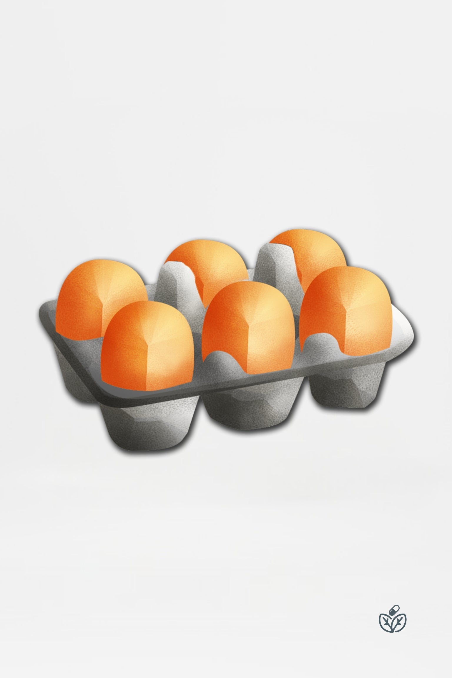 Egg Zoomer