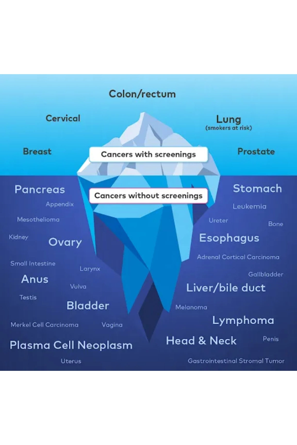 Galleri Multi-Cancer Early Detection Test