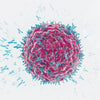 Lymphocyte MAP