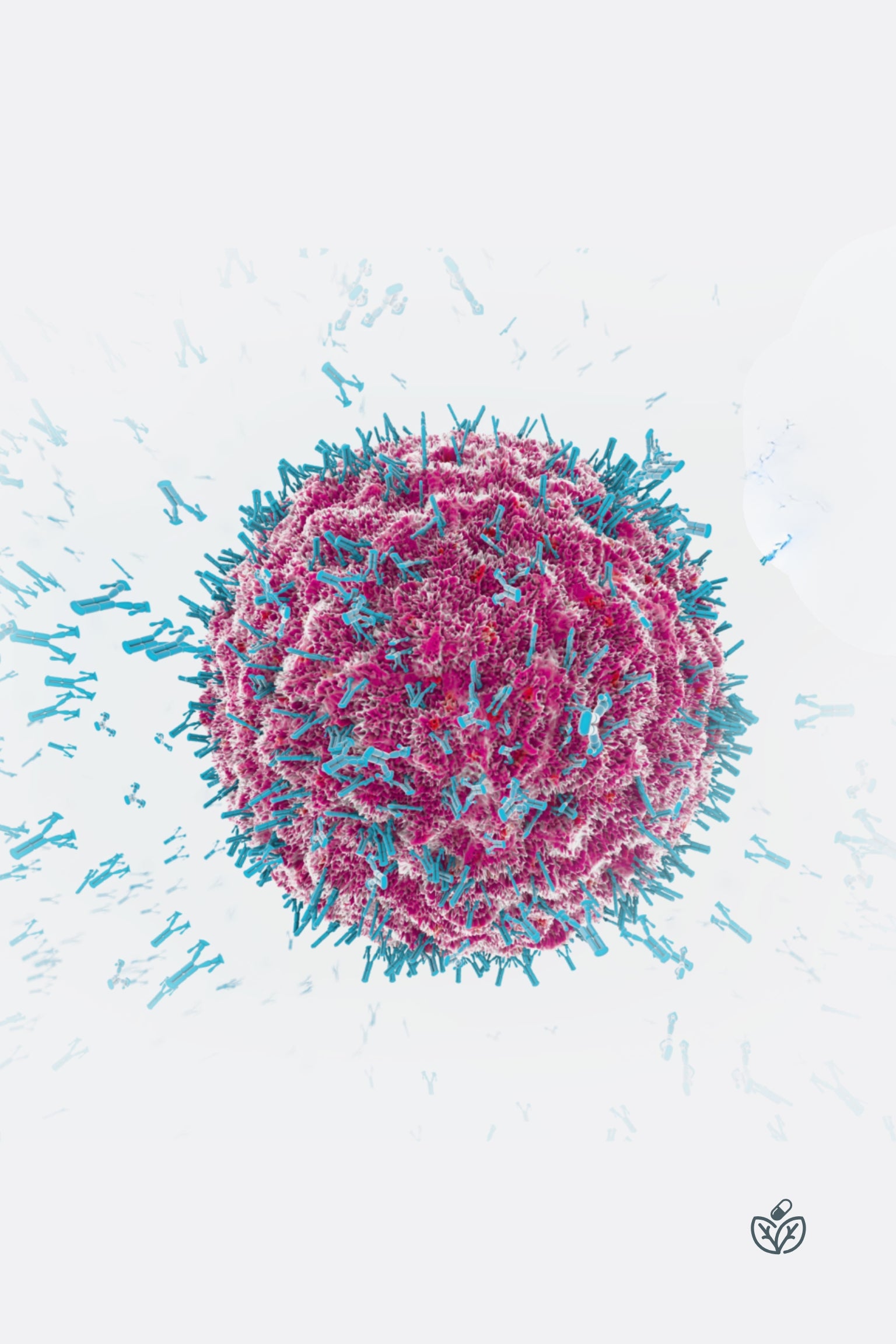 Lymphocyte MAP
