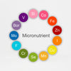 Micronutrients Testing