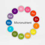Micronutrients Testing