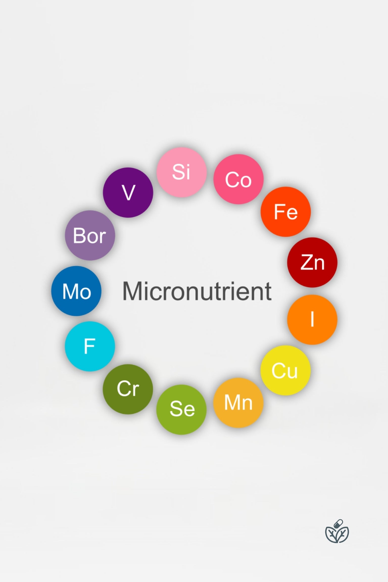Micronutrients Testing