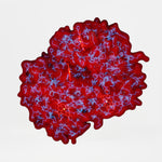 Porphyrins Profile