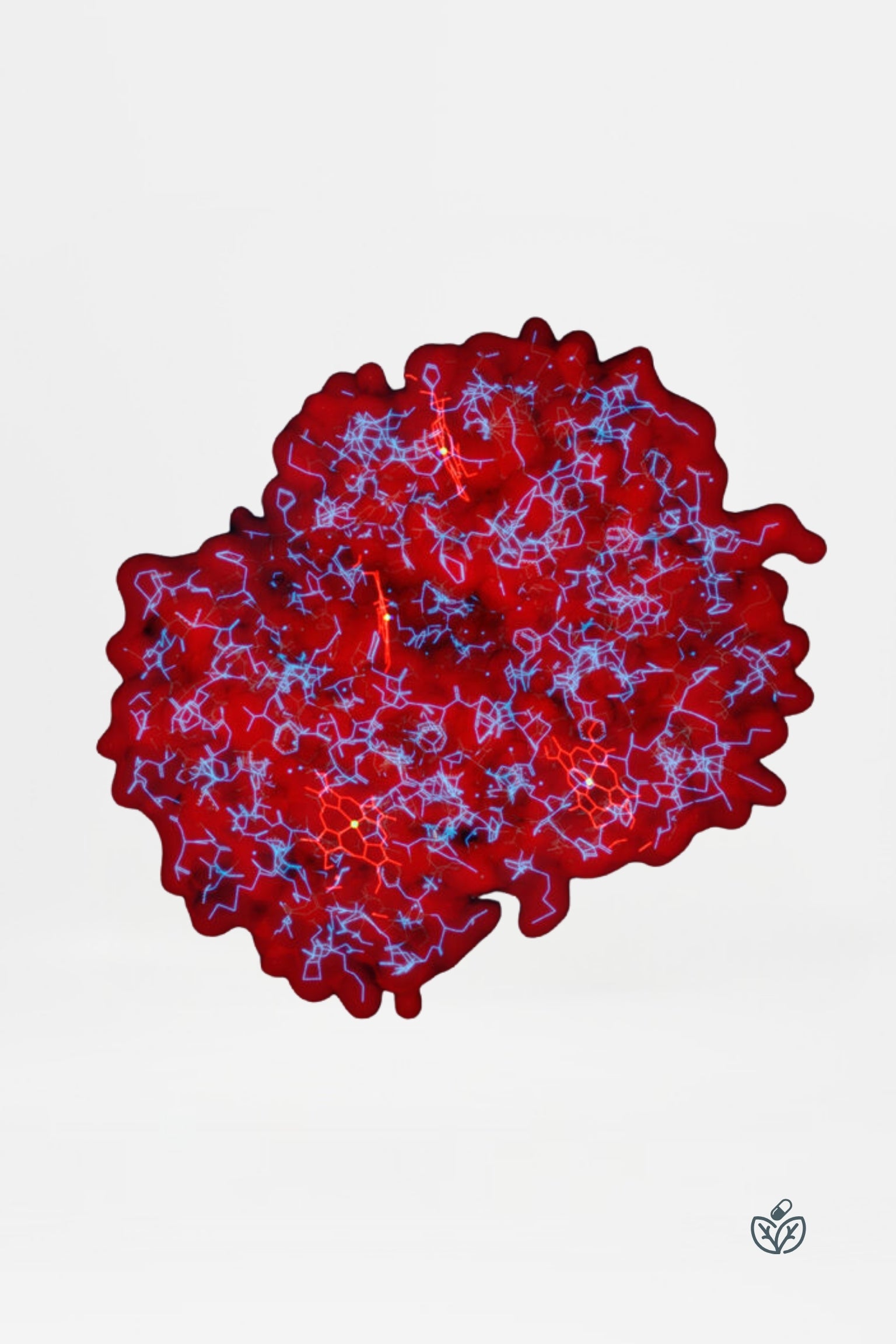 Porphyrins Profile