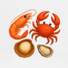 Seafood Zoomer