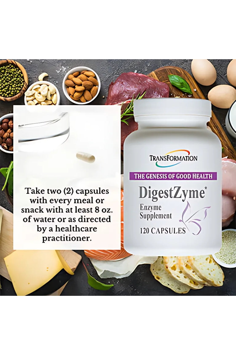 Transformation Enzymes - DigestZyme