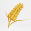 Wheat Zoomer (Blood Draw)