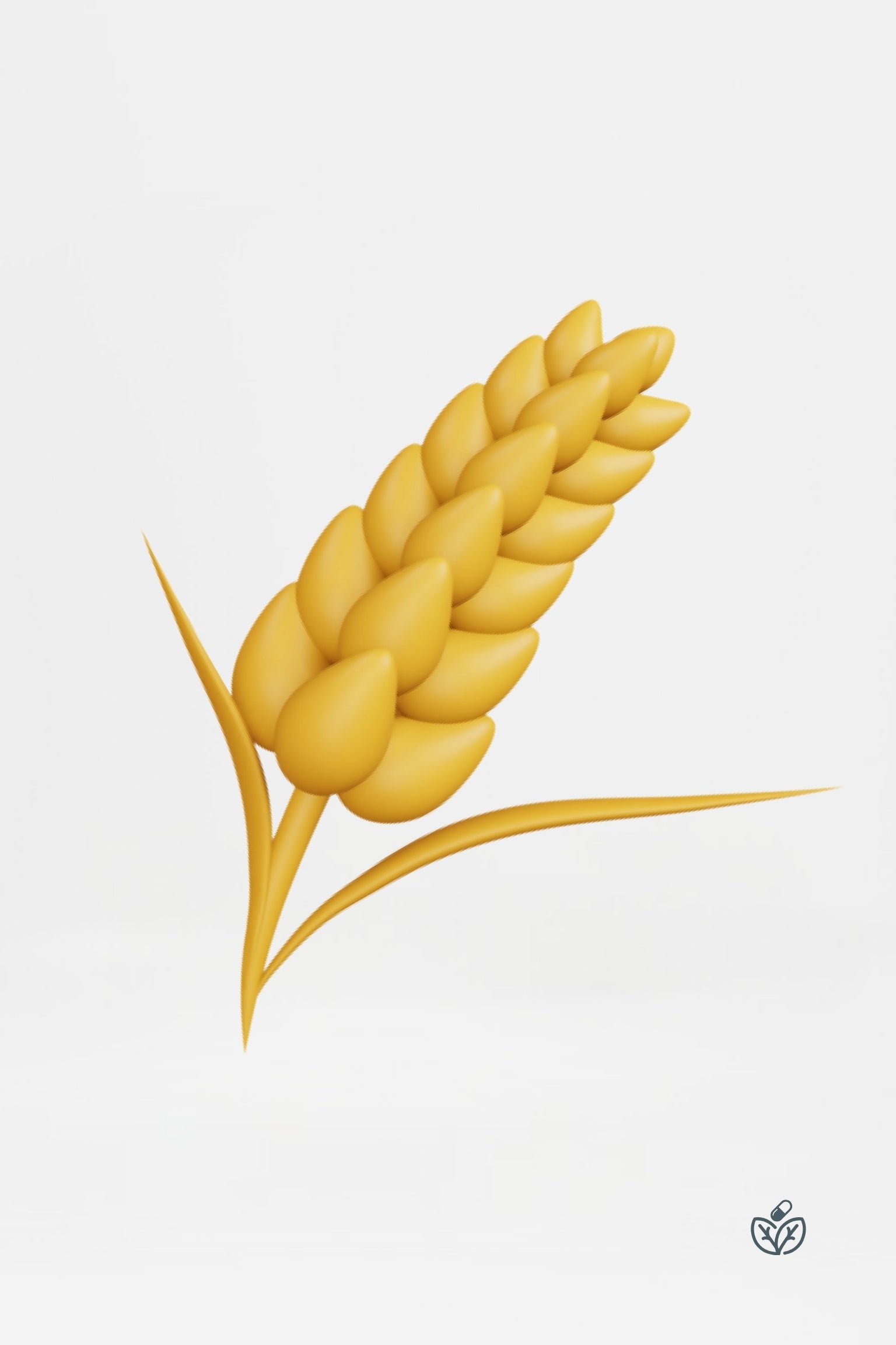 Wheat Zoomer (Blood Draw)