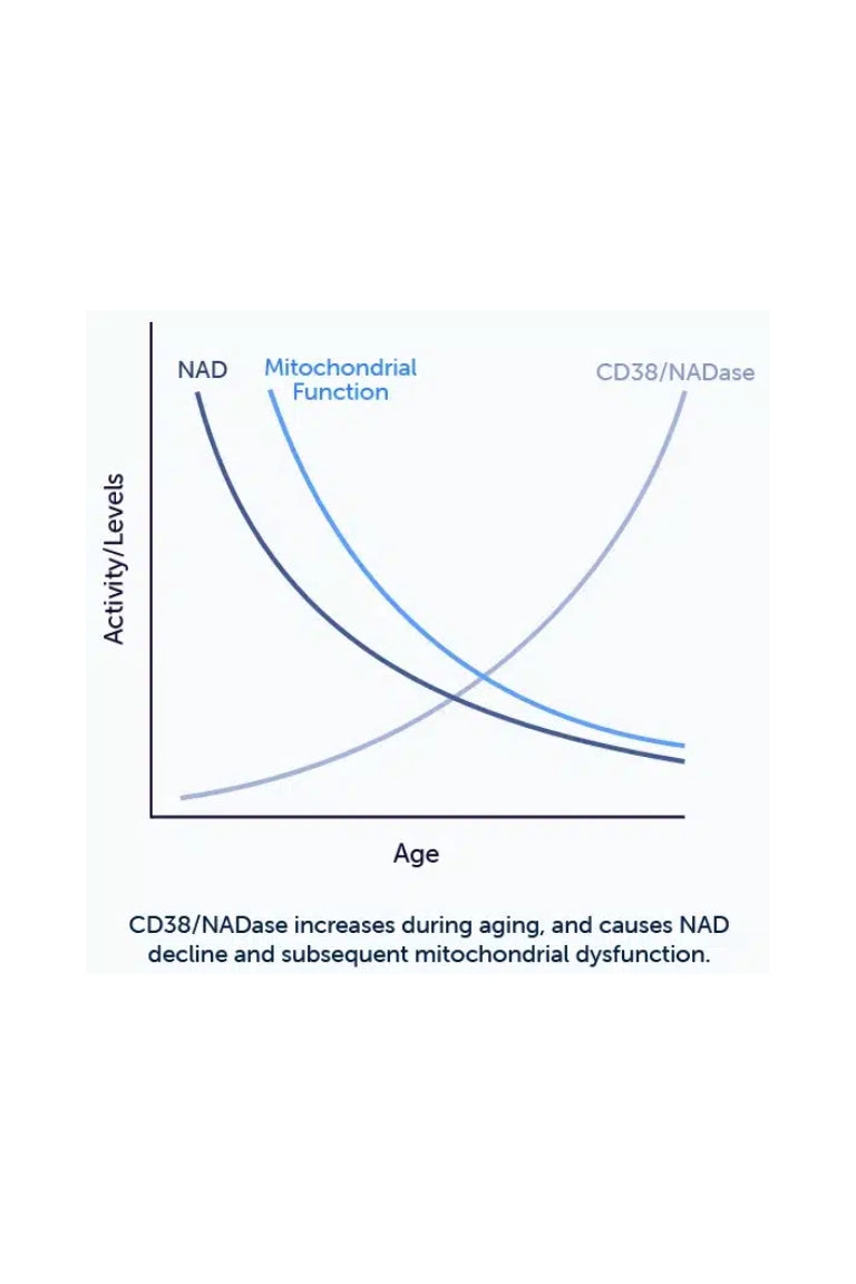 nuBioAge Apigenin